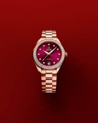 Omega Seamaster Aqua Terra 30 mm watch Omega