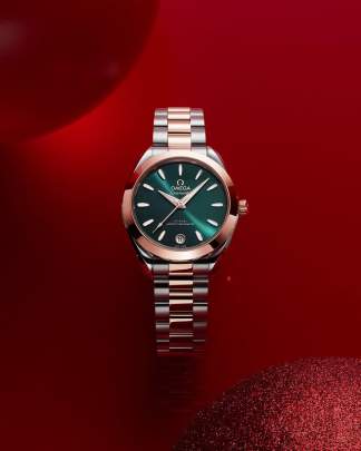 Omega Seamaster Aqua Terra 30mm Watch Omega