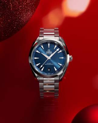 Omega Seamaster Aqua Terra Watch Omega