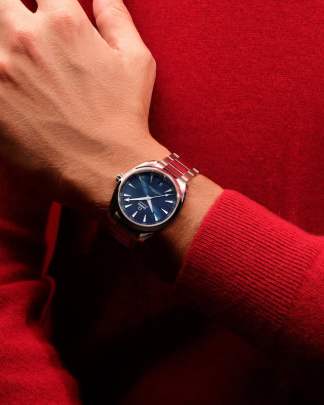 Omega Seamaster Aqua Terra watch Omega